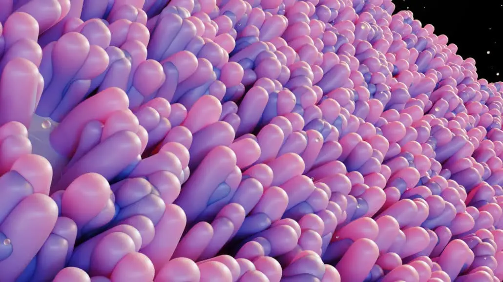 Mikrobiom
